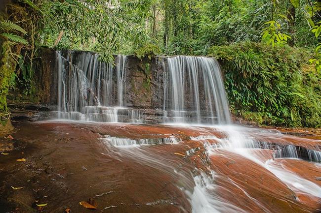 Lambir Hills National Park