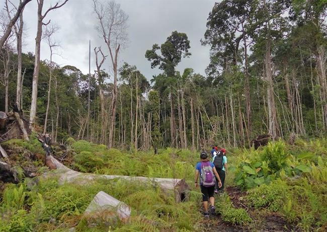 Similajau National Park