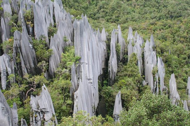 Gunung Mulu National Park