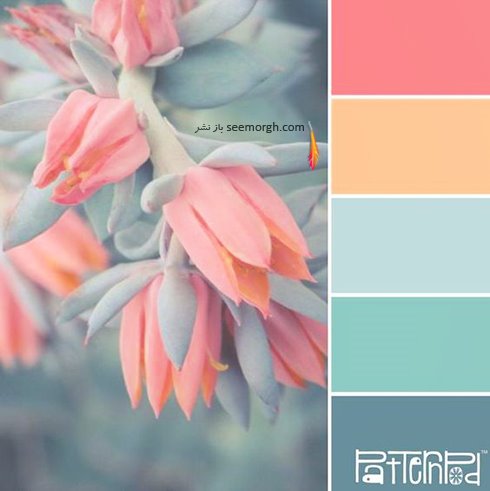 ترکیب رنگ گلبهی، آبی و طوسی روشن برای دکوراسیون بهاری - عکس شماره 5