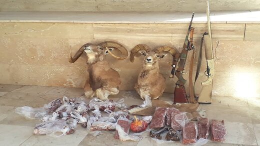 دستگیری یک شکارچی متخلف در رودان