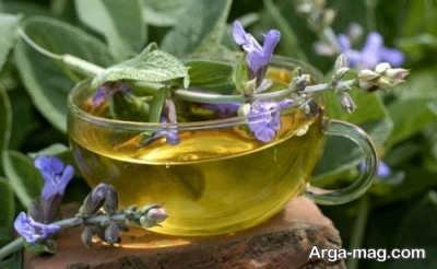 استفاده از چای گل مریمی به منظور درمان تب