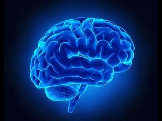 8 باور نادرست رایج درباره مغز که نمی‌دانستید