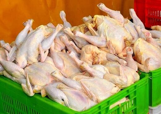 قیمت مرغ کیلویی 7500تومان بالارفت ؛ دولت سکوت کرد