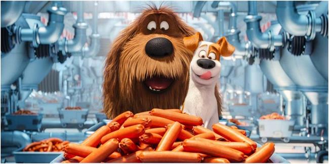 The Secret Life Of Pets (2016)