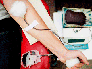 نذر اهدای خون در شب های قدر