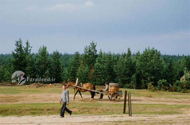 زمین های کشاورزی در حومه مسکو