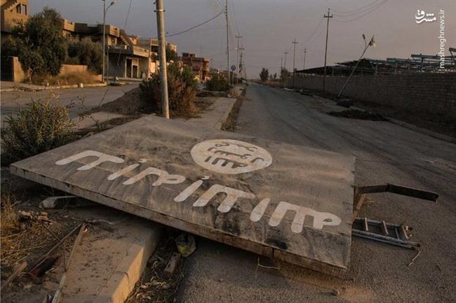 کارشناس استرالیایی: «شهید سلیمانی» جاودانه‌تر از «قاسم سلیمانی» خواهد بود +فیلم