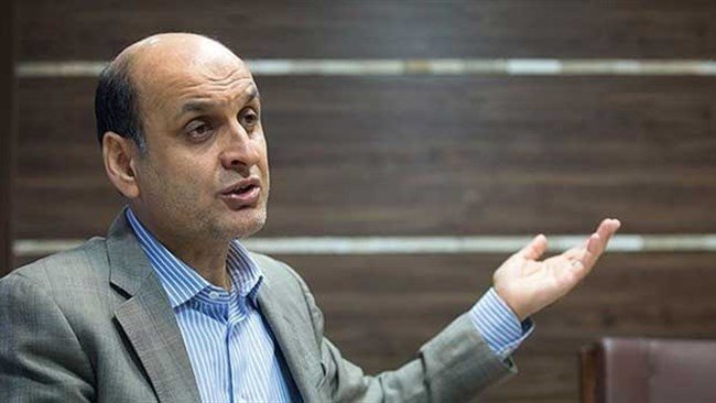 هادی حقشناس، کارشناس اقتصادی