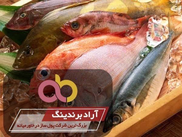 قیمت انواع ماهی سرخو پرورشی در تهران