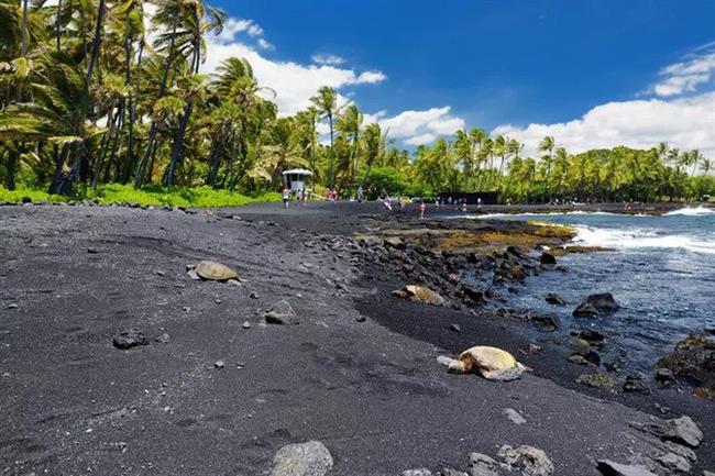 Punaluʻu Beach, Hawaii, United States