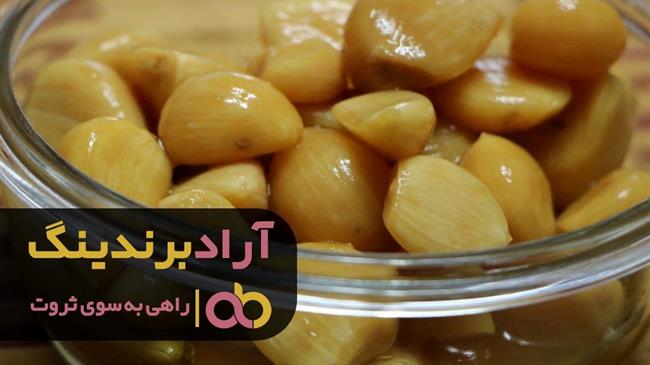 فروش سیر ترشی صادراتی