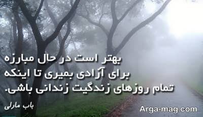 متن ناب در مورد آزادی زنان