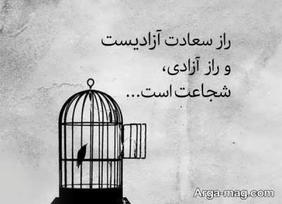 گلچینی از متن درباره آزادی زنان