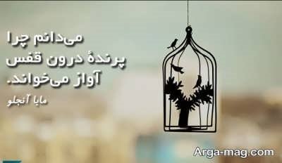 جملات زیبا در مورد آزادی زنان