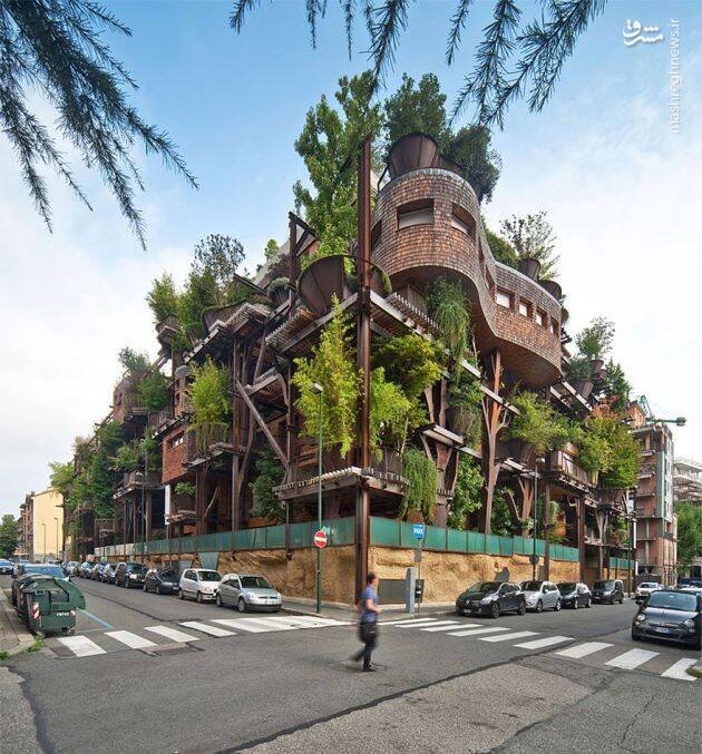 خانه ساخته شده از 150 درخت