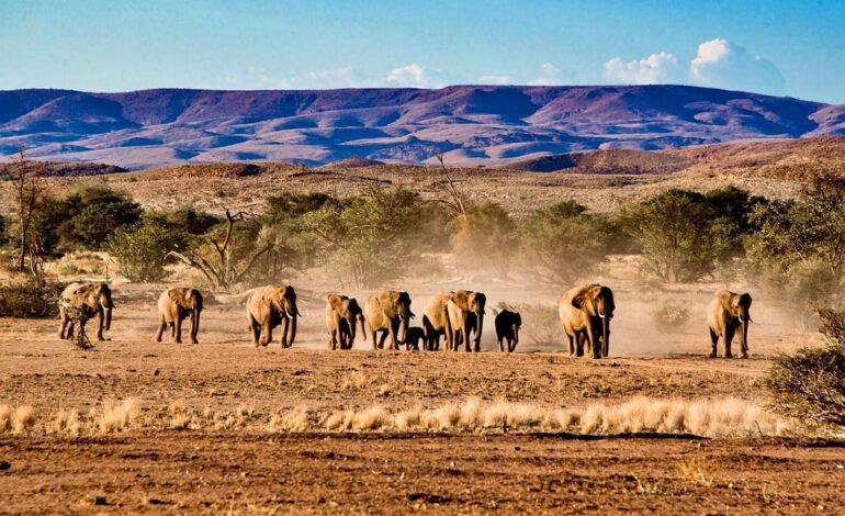 زیباترین پارک‌های ملی آفریقای جنوبی
