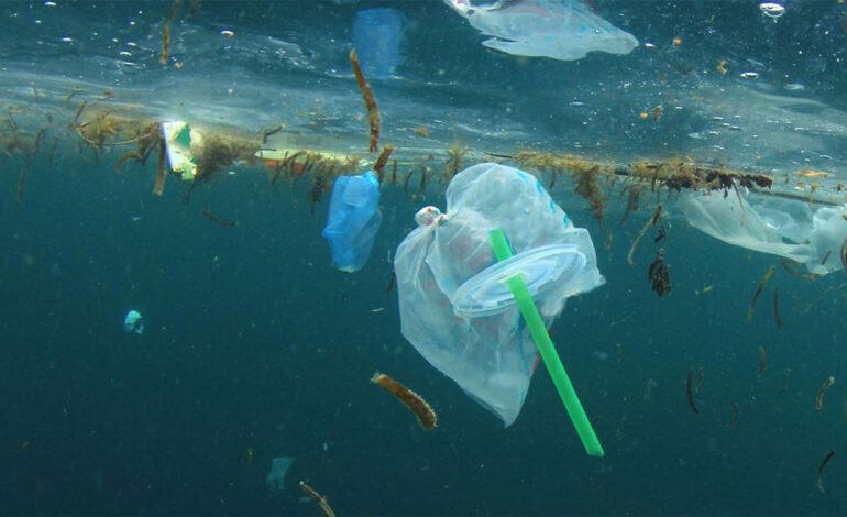 باکتری‌های پلاستیک‌خوار راهی برای پاکسازی دریاها