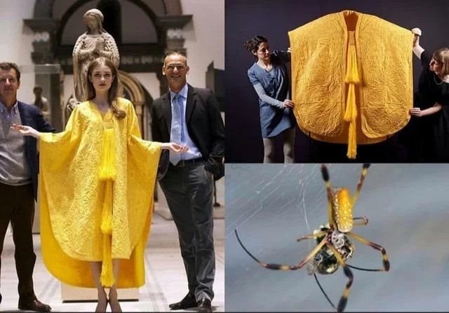 دوختِ نادرترین لباس دنیا از ابریشم طلایی