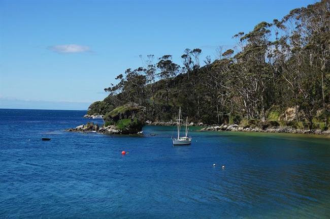 Stewart Island