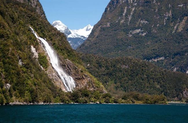 Fiordland