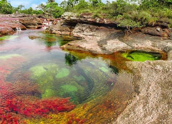 Cano Cristales