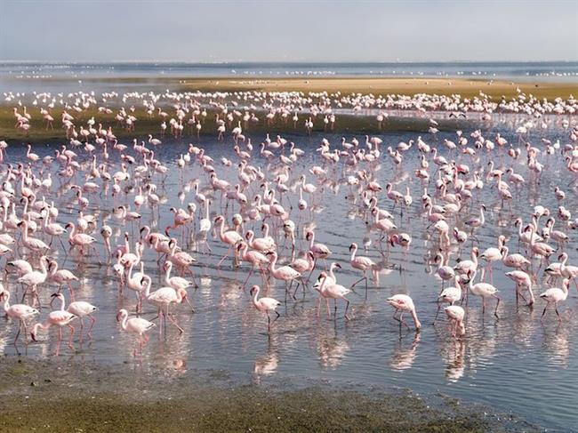 Walvis Bay Lagoon