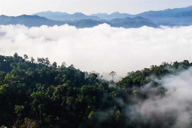 Kaeng Krachan National Park