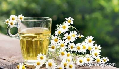 تاثیر بابونه در درمان باد گلو