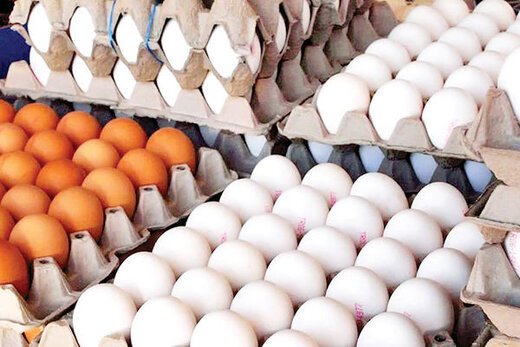 کشف 12 تن تخم مرغ فاقد مجوز در سرخه