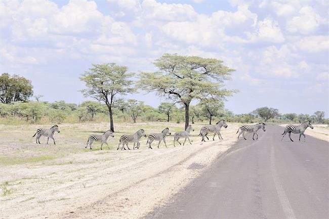 Mudumu National Park