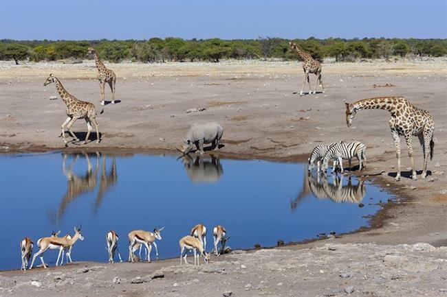 Etosha National Park