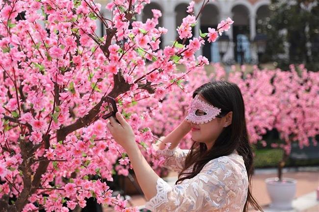 Peach Blossom Festival