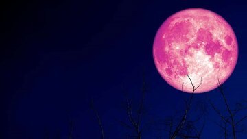 امشب ماه‌ توت‌فرنگی را از دست ندهید!/ عکس