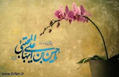 نگاهی به کودکی و نوجوانی امام مجتبی (ع)