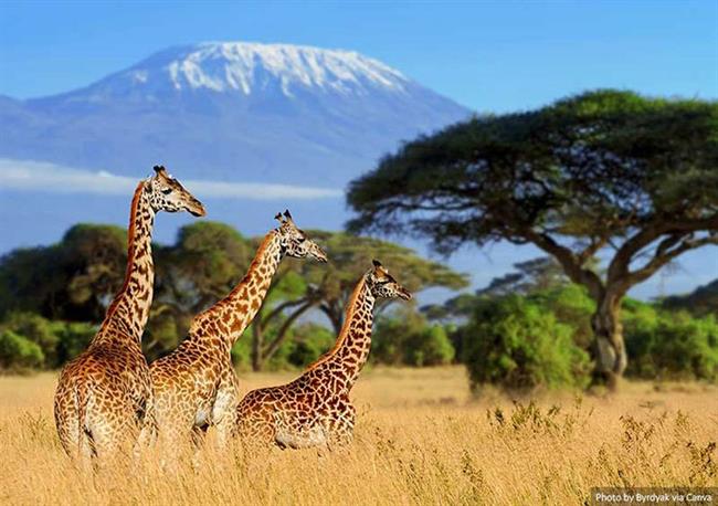 Mount Kilimanjaro, Tanzania