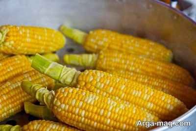 تعبیر خواب ذرت