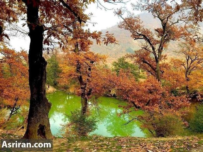 پاییز زیبای جنگل‌های گلستان