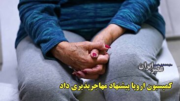 پیشنهاد مهاجرپذیری در کمیسیون اروپا/ پیری بلای جان اروپا می‌شود (فیلم)