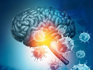 کرونا چه تاثیری بر مغز انسان می‌گذارد؟