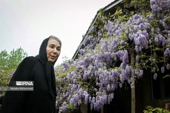 زندگی پروانه معصومی در روستا