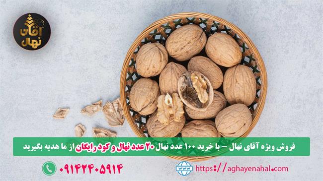 تغییرات اقلیمی جدی‌تر شد؛ تولید برف برای برپایی پیست‌های همیشه پر برف اسکی در اتریش (فیلم)