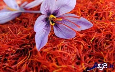 مهمترین خواص گل زعفران چیست