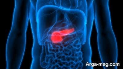 بررسی علل، علائم و روش های درمان خانگی پانکراتیت