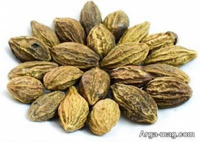 استفاده از هلیله سیاه برای درمان پانکراتیت