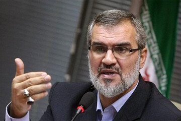 کنایه رویانیان به حضور هوادار متمول در پرسپولیس