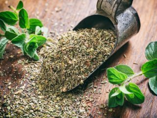 6 فایده شگفت‌انگیز این گیاه معطر؛ از کاهش عفونت تا نابودی سرطان
