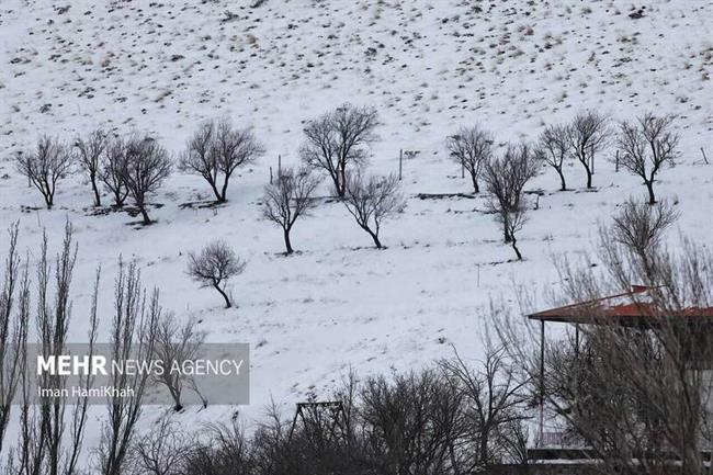 جلوه‌های زمستانی گنجنامه