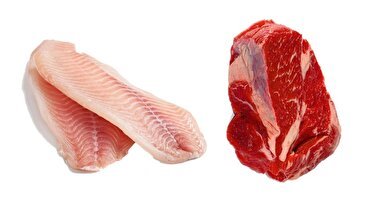 ماجرای جایگزین شدن ماهی به جای گوشت قرمز؛ این شدنی‌است؟ (فیلم)