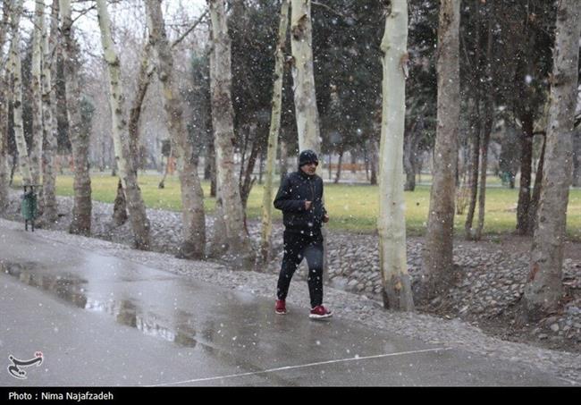 بارش برف در مشهد